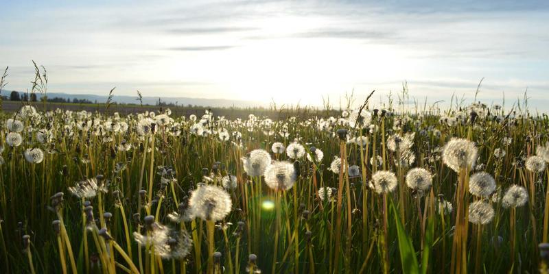 儿童户外探险服装系统搭建：西西米亚母婴用品分层着装原理与实践指南