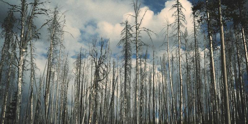 儿童汉服日常化穿搭指南：从节日礼服到校园常服的创新设计 | 西西米亚育儿新风尚