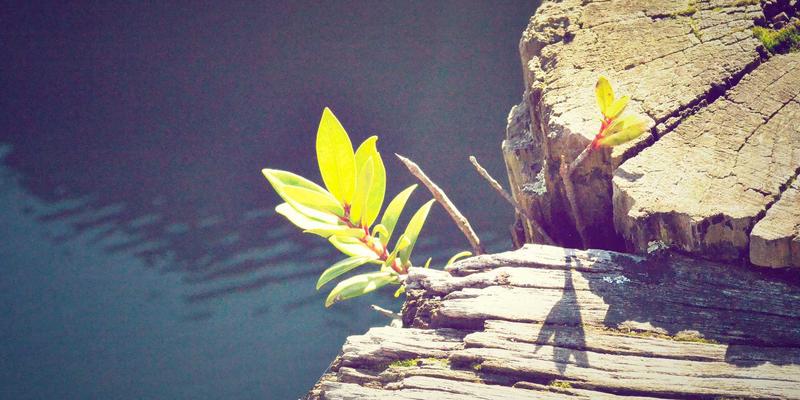 儿童运动裤膝部加固设计：如何有效预防运动损伤与提升穿着体验