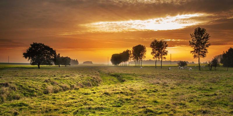 大童（6-12岁）服装搭配技巧：平衡时尚个性与校园穿着规范