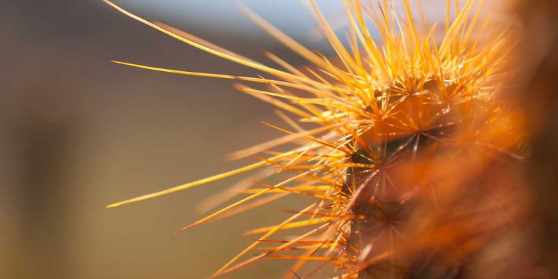 童装租赁服务深度解析：经济环保的育儿新选择，从孕妇用品到婴儿服饰的智慧方案